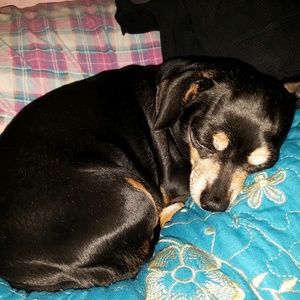 Meet your Posher, Mindy